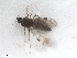  ( - BIOUG02453-F11)  @11 [ ] CreativeCommons - Attribution (2012) CBG Photography Group Centre for Biodiversity Genomics