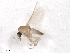  ( - BIOUG02454-B07)  @12 [ ] CreativeCommons - Attribution (2012) CBG Photography Group Centre for Biodiversity Genomics