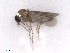  ( - BIOUG02454-C01)  @12 [ ] CreativeCommons - Attribution (2012) CBG Photography Group Centre for Biodiversity Genomics