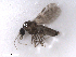  ( - BIOUG02454-G02)  @12 [ ] CreativeCommons - Attribution (2012) CBG Photography Group Centre for Biodiversity Genomics