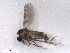  ( - BIOUG02454-G04)  @12 [ ] CreativeCommons - Attribution (2012) CBG Photography Group Centre for Biodiversity Genomics