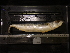  ( - MT06539)  @13 [ ] CreativeCommons - Attribution Share-Alike (2012) Thomas Knebelsberger DZMB / Senckenberg am Meer