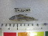  ( - SAIAB MAL11-040)  @13 [ ] CreativeCommons - Attribution Non-Commercial Share-Alike (2012) SAIAB SAIAB