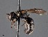  ( - CCDB-25170 E01)  @11 [ ] © (2018) Ryan Oram Royal Saskatchewan Museum