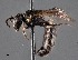  ( - CCDB-25170 E02)  @11 [ ] © (2018) Ryan Oram Royal Saskatchewan Museum