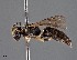  ( - CCDB-25170 E05)  @11 [ ] © (2018) Ryan Oram Royal Saskatchewan Museum