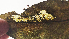  ( - NK2192)  @11 [ ] Copyright (2023) Natalia Kirichenko Sukachev Institute of Forest SB RAS