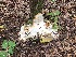  ( - MO336260)  @11 [ ] Creative Commons Wikipedia Compatible v3.0 (2018) Bill Sheehan Unspecified