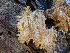  ( - MO364285)  @11 [ ] Creative Commons Wikipedia Compatible v3.0 (2019) Joanne Schwartz Unspecified