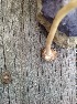  ( - MO446090)  @11 [ ] Unspecified (default): All Rights Reserved (2021) Jenifer Nina Burghardt Unspecified