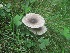 ( - MO459612)  @11 [ ] Unspecified (default): All Rights Reserved (2021) Dave W Unspecified