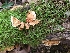  ( - TJR0075)  @11 [ ] CreativeCommons - Attribution Non-Commercial (2019) Trey Richards Unspecified