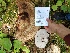  ( - GAN19-09)  @11 [ ] Copyright (2019) Jared Urchek Unspecified