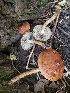  ( - TJR0079)  @11 [ ] CreativeCommons - Attribution Non-Commercial (2019) Trey Richards Unspecified