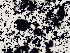  ( - iNat98258505)  @11 [ ] all rights reserved (2021) Autumn Anglin Unspecified