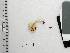  ( - LEP81)  @11 [ ] by-nc-sa (2017) Stephen Russell Purdue University