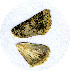  ( - RR-96-0037)  @12 [ ] CreativeCommons - Attribution Non-Commercial No Derivatives (2009) Unspecified University of Maryland