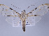  ( - Arcec 32016)  @14 [ ] Copyright (2010) Unspecified Institut fuer Spezielle Zoologie und Evolutionsbiologie, Friedrich-Schiller Universitat Jena