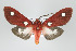  ( - Arcec 32097)  @13 [ ] Copyright (2010) Unspecified Institut fuer Spezielle Zoologie und Evolutionsbiologie, Friedrich-Schiller Universitat Jena