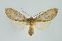  ( - ArcCR 40387)  @11 [ ] Copyright (2010) Unspecified Institut fuer Spezielle Zoologie und Evolutionsbiologie, Friedrich-Schiller Universitat Jena