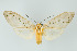  ( - ArcCR 40391)  @11 [ ] Copyright (2010) Unspecified Institut fuer Spezielle Zoologie und Evolutionsbiologie, Friedrich-Schiller Universitat Jena