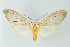  ( - ArcCR 40392)  @11 [ ] Copyright (2010) Unspecified Institut fuer Spezielle Zoologie und Evolutionsbiologie, Friedrich-Schiller Universitat Jena
