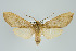  ( - ArcCR 40395)  @11 [ ] Copyright (2010) Unspecified Institut fuer Spezielle Zoologie und Evolutionsbiologie, Friedrich-Schiller Universitat Jena