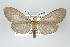  ( - ArcCR 40519)  @15 [ ] Copyright (2010) Unspecified Institut fuer Spezielle Zoologie und Evolutionsbiologie, Friedrich-Schiller Universitat Jena