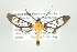  ( - ArcCR 40843)  @14 [ ] Copyright (2010) Unspecified Institut fuer Spezielle Zoologie und Evolutionsbiologie, Friedrich-Schiller Universitat Jena