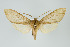  ( - ArcCR 41186)  @11 [ ] Copyright (2010) Unspecified Institut fuer Spezielle Zoologie und Evolutionsbiologie, Friedrich-Schiller Universitat Jena