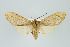  ( - ArcCR 41876)  @11 [ ] Copyright (2010) Unspecified Institut fuer Spezielle Zoologie und Evolutionsbiologie, Friedrich-Schiller Universitat Jena