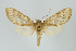  ( - ArcCR 41879)  @11 [ ] Copyright (2010) Unspecified Institut fuer Spezielle Zoologie und Evolutionsbiologie, Friedrich-Schiller Universitat Jena