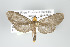  ( - ArcCR 42038)  @14 [ ] Copyright (2010) Unspecified Institut fuer Spezielle Zoologie und Evolutionsbiologie, Friedrich-Schiller Universitat Jena