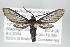  ( - ArcCR 42053)  @13 [ ] Copyright (2010) Unspecified Institut fuer Spezielle Zoologie und Evolutionsbiologie, Friedrich-Schiller Universitat Jena