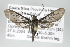  ( - ArcCR 42055)  @13 [ ] Copyright (2010) Unspecified Institut fuer Spezielle Zoologie und Evolutionsbiologie, Friedrich-Schiller Universitat Jena