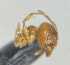 (Pheidole cf. verricula - CAX521_BOLD)  @11 [ ] by-nc-nd (2023) Creative Commons Escuela Politécnica Nacional