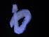  ( - ZMBN_130920)  @11 [ ] CreativeCommons - Attribution Non-Commercial Share-Alike (2019) Tom Alvestad University of Bergen, Natural History Collections