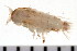  ( - HUNTSAMP0102)  @13 [ ] CreativeCommons - Attribution (2010) Unspecified Centre for Biodiversity Genomics