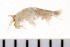  ( - HUNTSAMP0114)  @13 [ ] CreativeCommons - Attribution (2010) Unspecified Centre for Biodiversity Genomics