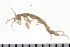  ( - HUNTSAMP0173)  @14 [ ] CreativeCommons - Attribution (2010) Unspecified Centre for Biodiversity Genomics