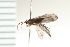  ( - 08NBEPT-0137)  @12 [ ] CreativeCommons - Attribution (2008) Unspecified Centre for Biodiversity Genomics