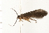  ( - 08NBEPT-0615)  @11 [ ] CreativeCommons - Attribution (2008) Unspecified Centre for Biodiversity Genomics