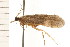  ( - 08NBEPT-0783)  @13 [ ] CreativeCommons - Attribution (2008) Unspecified Centre for Biodiversity Genomics