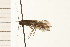  ( - 08NBEPT-0945)  @13 [ ] CreativeCommons - Attribution (2008) Unspecified Centre for Biodiversity Genomics