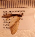  ( - KH72_20260HEAM1)  @11 [ ] Copyright © (2021) Unspecified Government of Canada