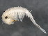  ( - 12NJNB0124)  @14 [ ] CreativeCommons - Attribution (2012) CBG Photography Group Centre for Biodiversity Genomics