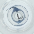  ( - NBGW_016_A8)  @11 [ ] by (2004) Genome Research Ltd as Wellcome Sanger Institute Genome Research Limited operating as Wellcome Sanger Institute