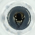  ( - NBGW_018_B3)  @11 [ ] by (2004) Genome Research Ltd as Wellcome Sanger Institute Genome Research Limited operating as Wellcome Sanger Institute