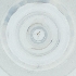  ( - NBGW_022_D7)  @11 [ ] by (2004) Genome Research Ltd as Wellcome Sanger Institute Genome Research Limited operating as Wellcome Sanger Institute