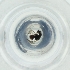  ( - NBGW_024_B1)  @11 [ ] by (2004) Genome Research Ltd as Wellcome Sanger Institute Genome Research Limited operating as Wellcome Sanger Institute
